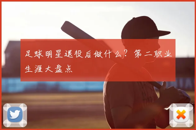 足球明星退役后做什么？第二职业生涯大盘点