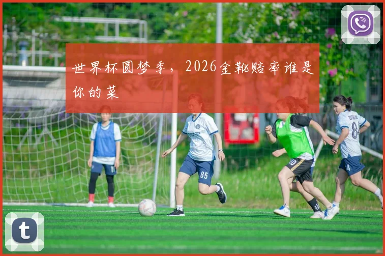 世界杯圆梦季,2026金靴赔率谁是你的菜